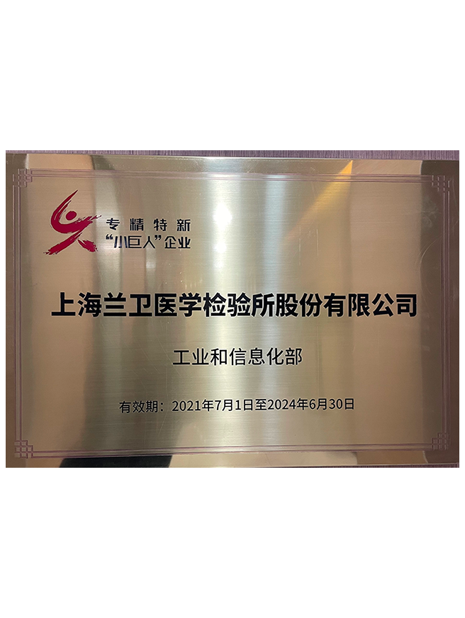 01 武汉东升国际高新证书2022-2025年-1.png