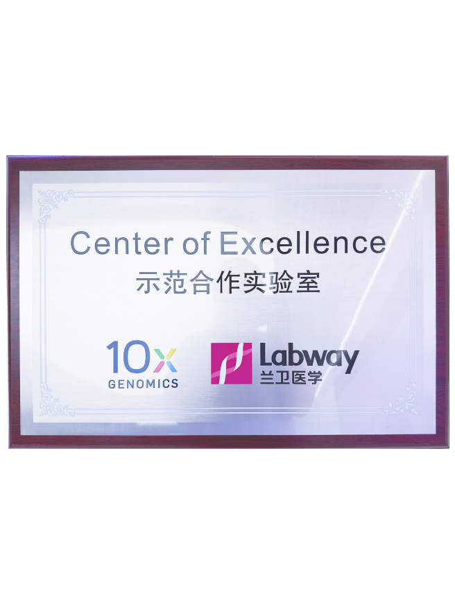 03 东升国际与10X示范合作尝试室.png